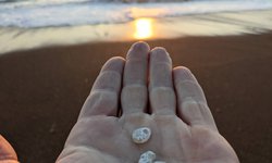 Featured image of post Central California Coast