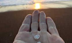 Featured image of post Central California Coast