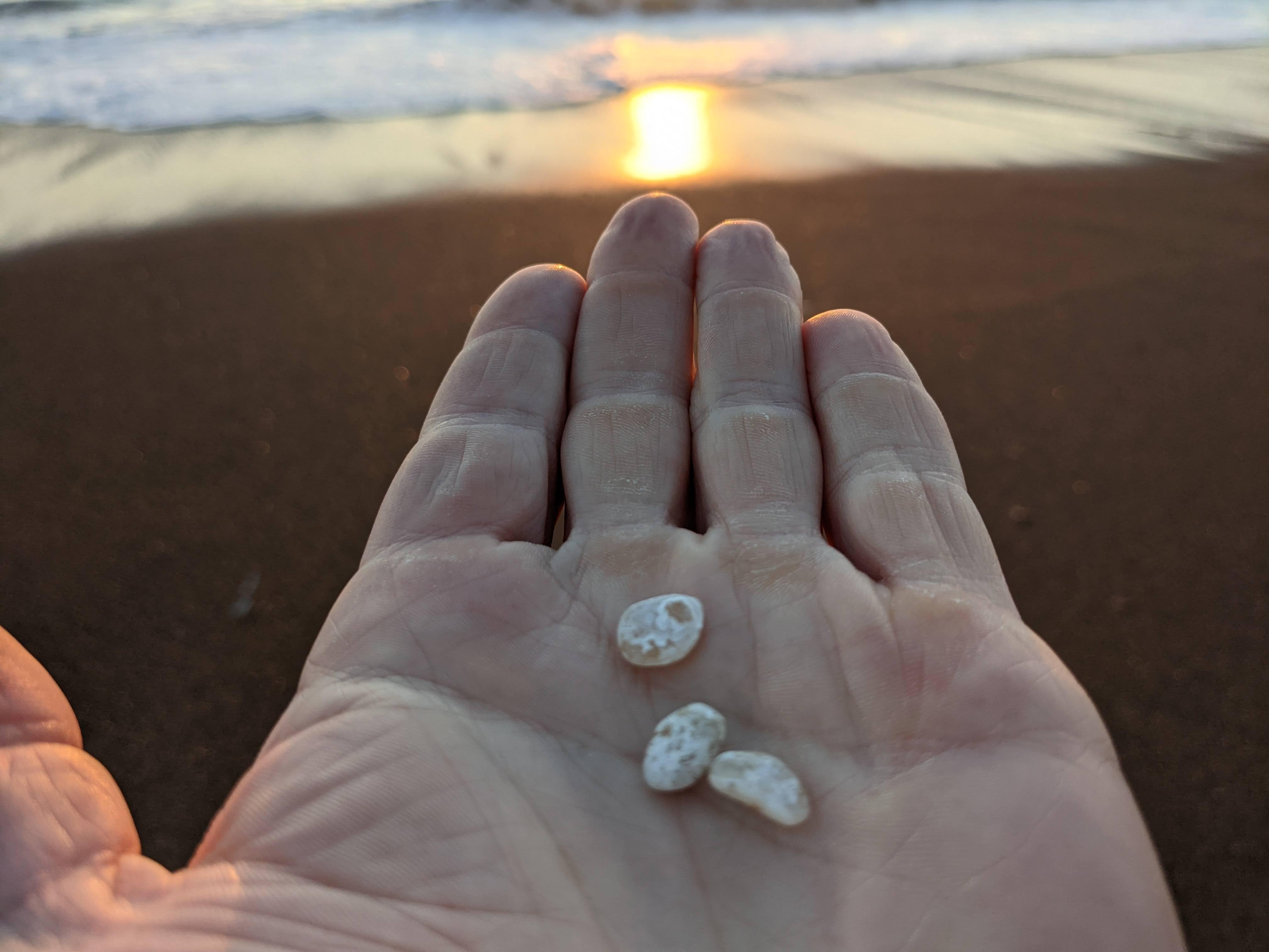 Featured image of post Central California Coast