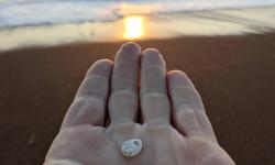 Featured image of post Central California Coast