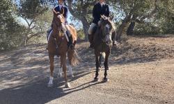 Featured image of post Exploring Central California from the Back of a Horse