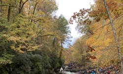 Featured image of post Green River Narrows Kayak Race 2021