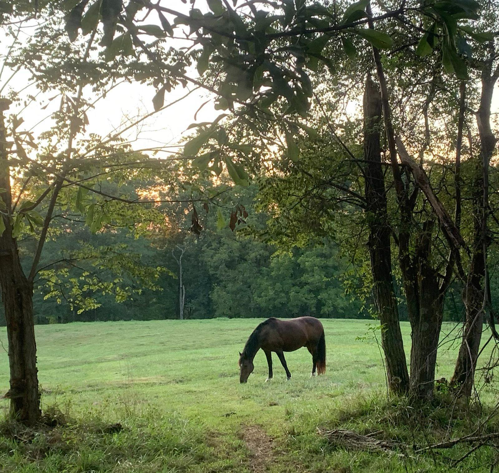 Featured image of post My Riverbend Journey Comes to an End