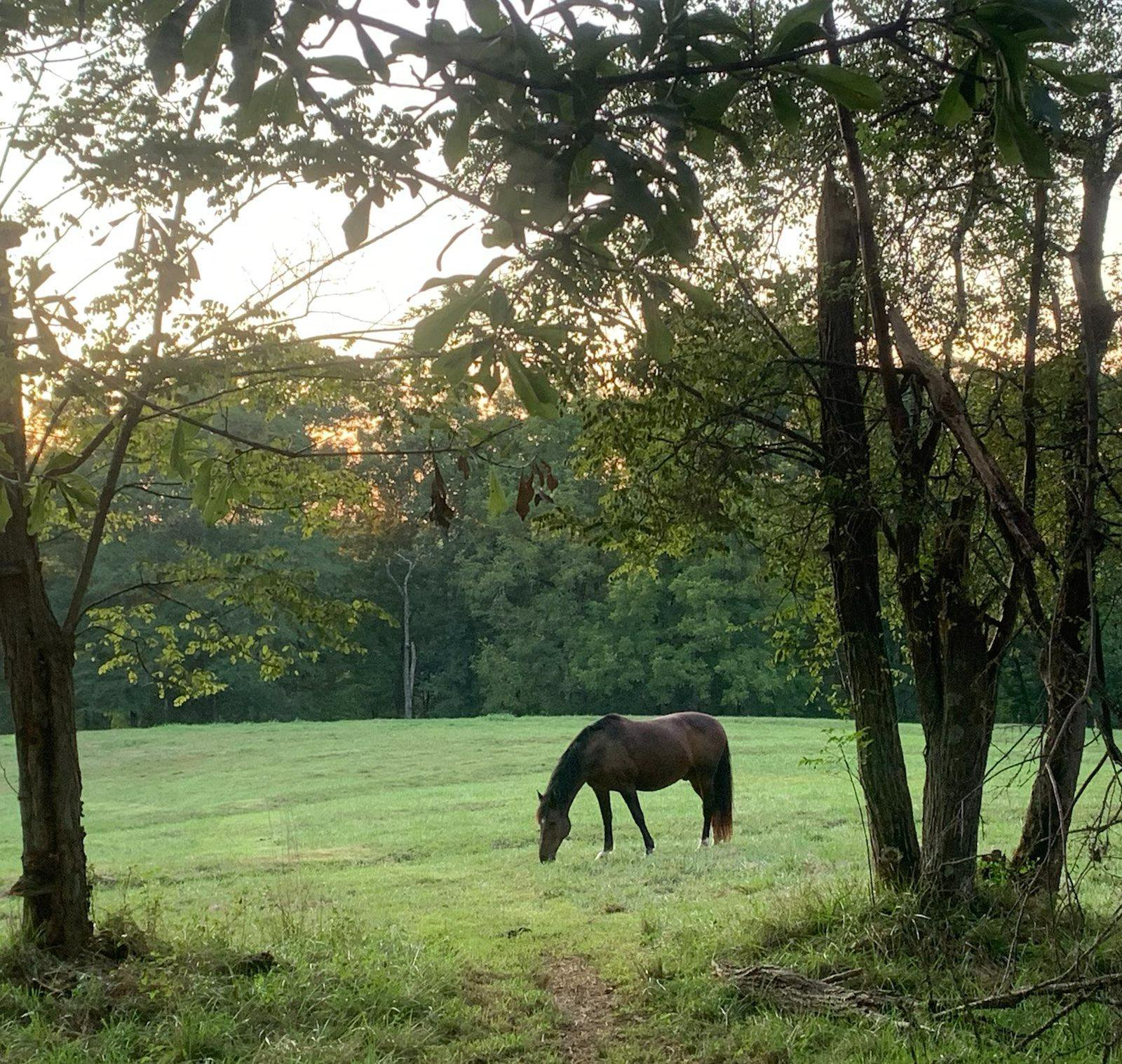 Featured image of post My Riverbend Journey Comes to an End