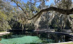 Featured image of post Juniper Springs