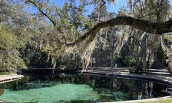 Featured image of post Juniper Springs