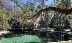 Featured image of post Juniper Springs
