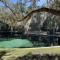 Juniper Springs
