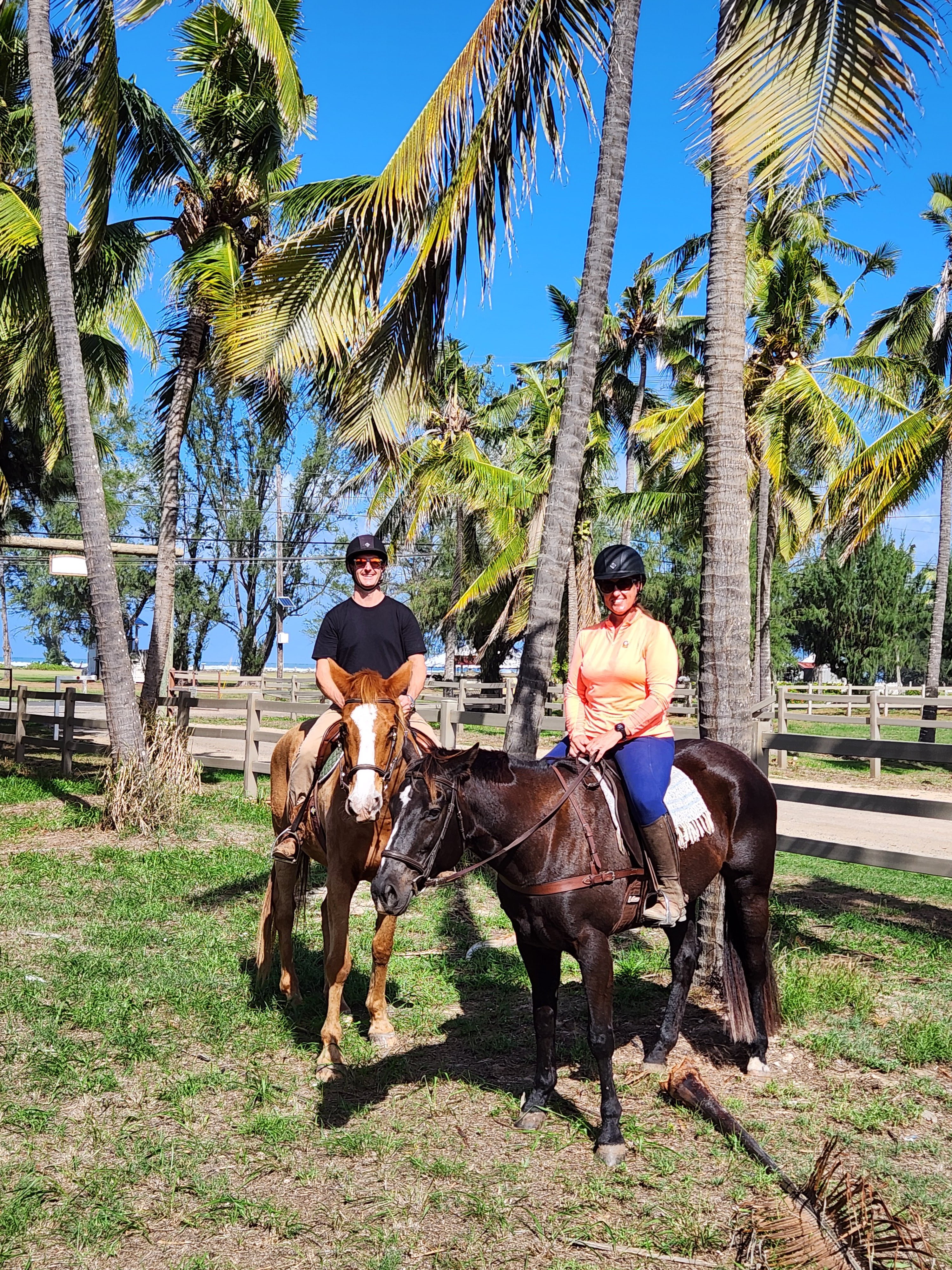 Featured image of post Combining Work and Play in Oahu