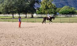 Featured image of post Horses and Pony Club in Hawaii