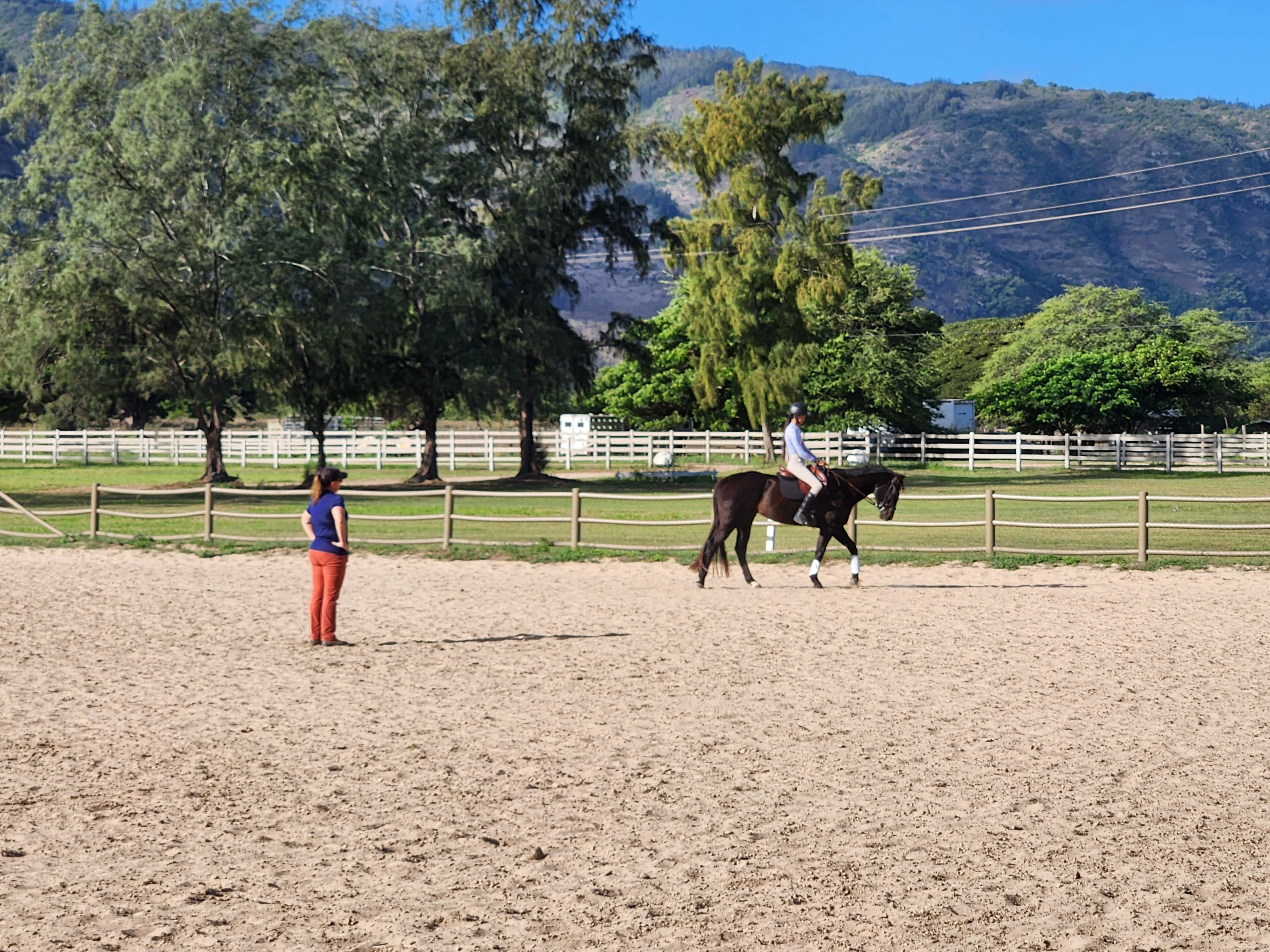 Featured image of post Horses and Pony Club in Hawaii