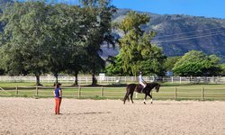 Featured image of post Horses and Pony Club in Hawaii