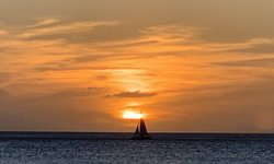 Featured image of post Leeward Oahu