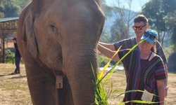 Featured image of post Elephant Jungle Sanctuary