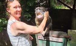 Featured image of post Beer Pigs and Catamarans