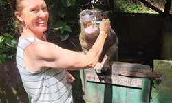 Featured image of post Beer Pigs and Catamarans