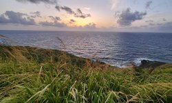 Featured image of post Point Udall