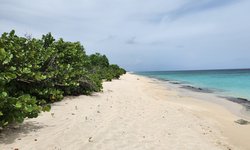 Featured image of post Sandy Point