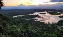 Featured image of post Amazon Lite: Day 1