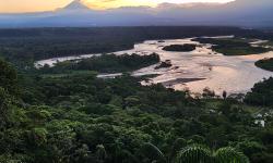 Featured image of post Amazon Lite: Day 1