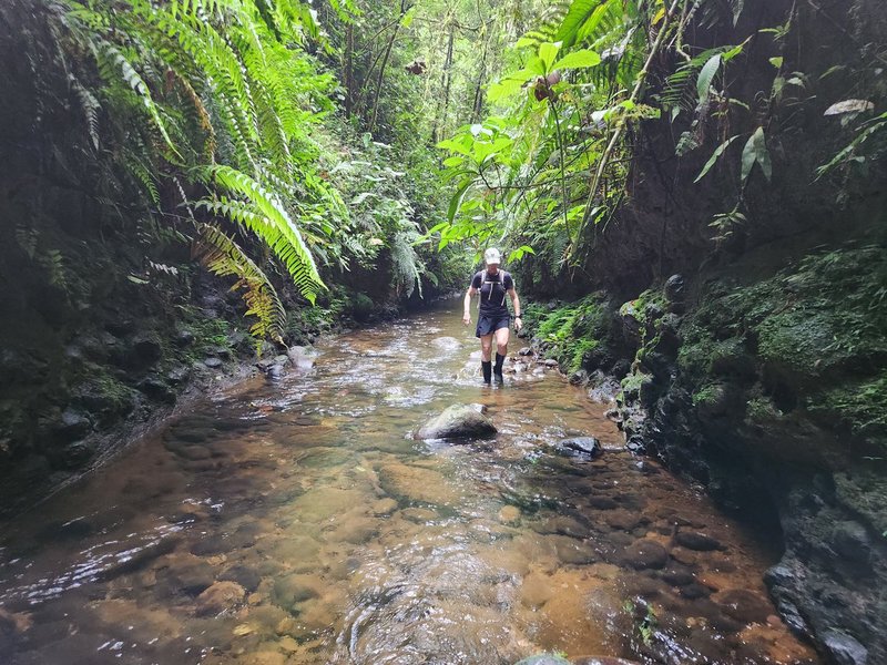 Featured image of post Amazon Lite: Day 2