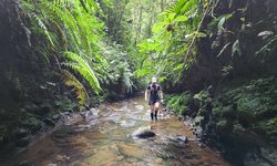 Featured image of post Amazon Lite: Day 2