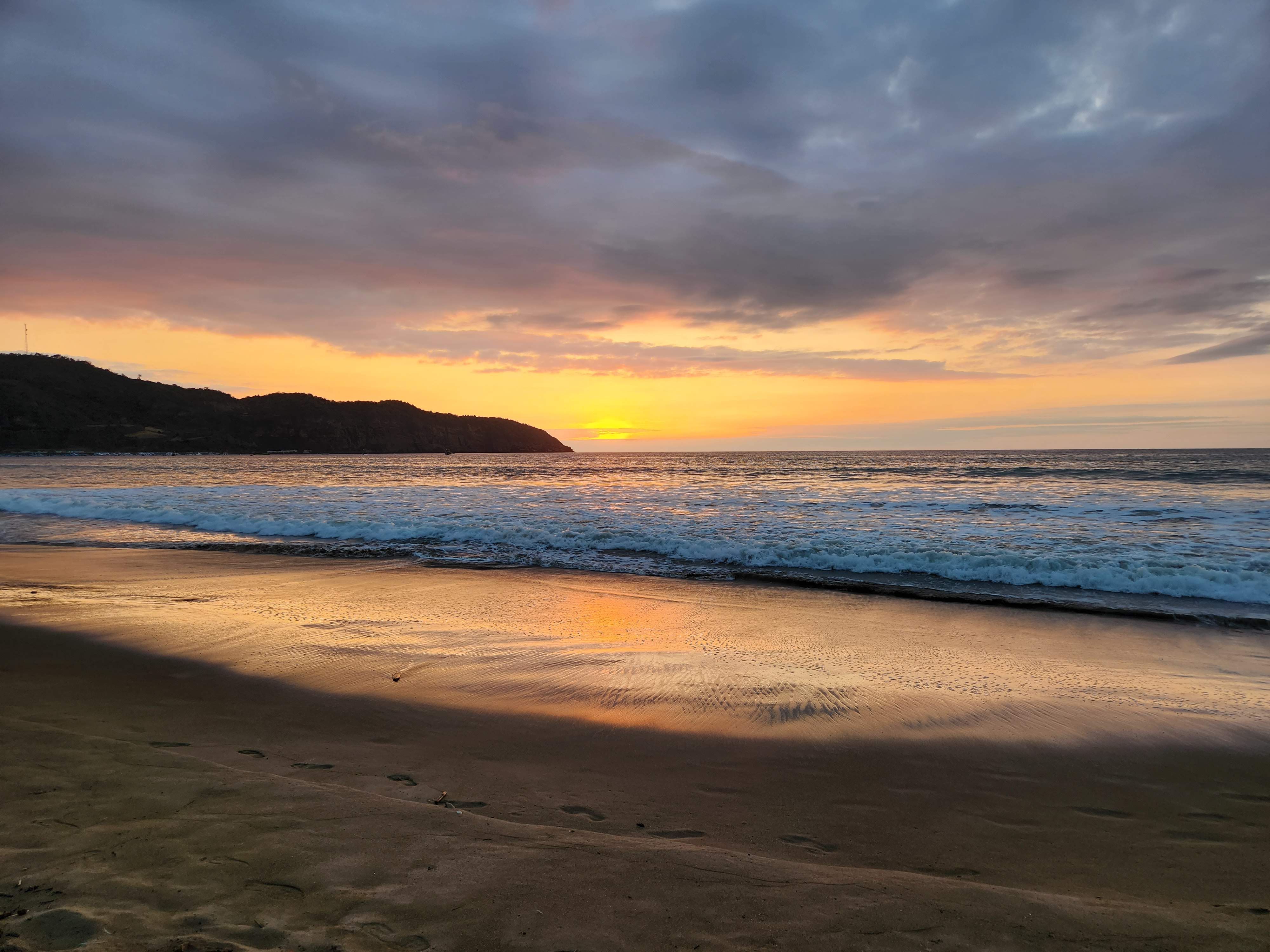 Featured image of post Bus Bread and Blue-Footed Boobies