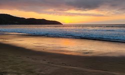 Featured image of post Bus Bread and Blue-Footed Boobies