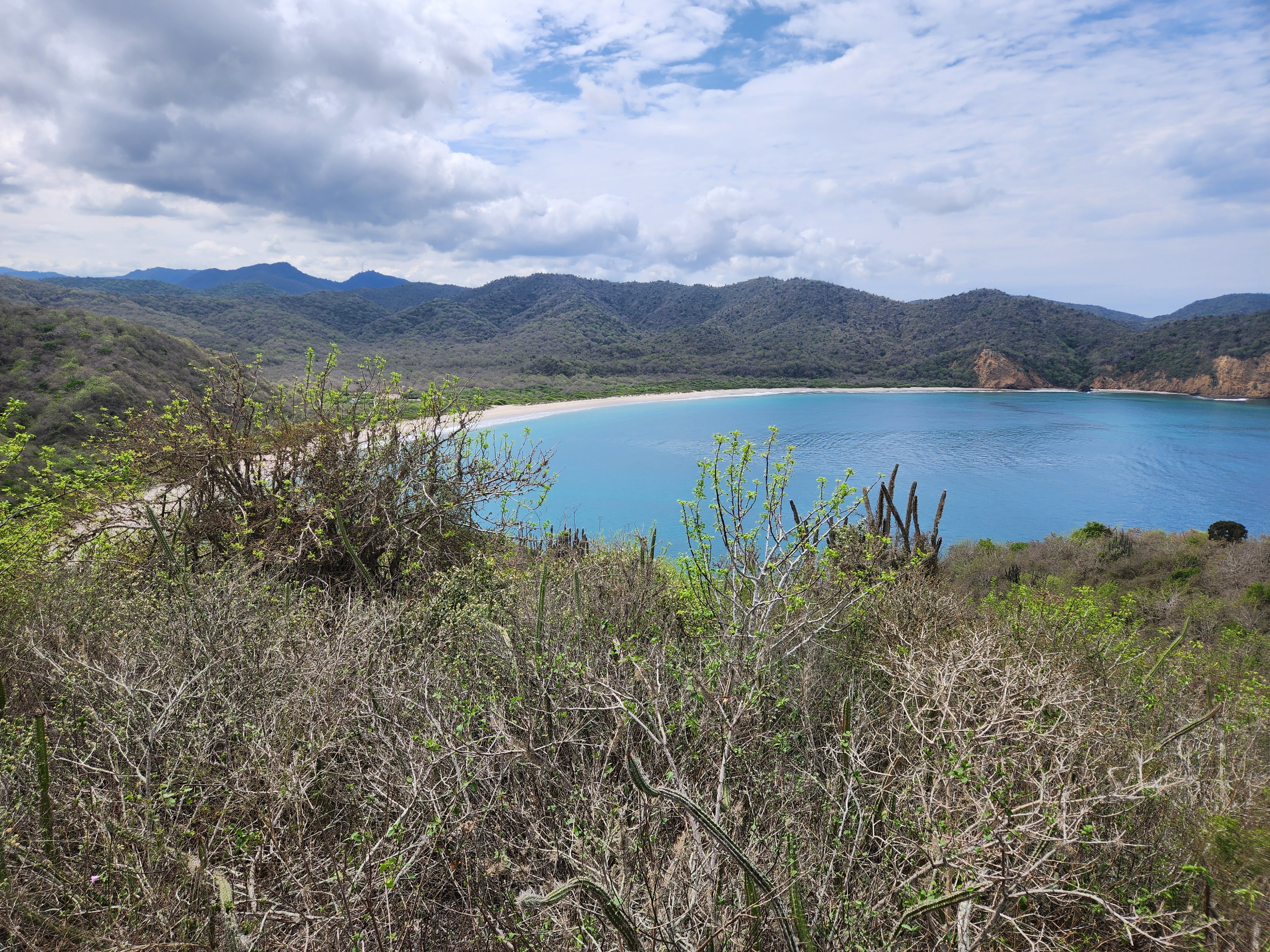 Featured image of post Hiking to Los Frailes Beach: Dry Forest Trails and Turquoise Water in Ecuador