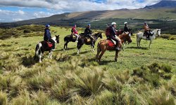 Featured image of post Horseback Riding at the Base of Cotopaxi